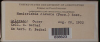 Image Associated With the Occurence